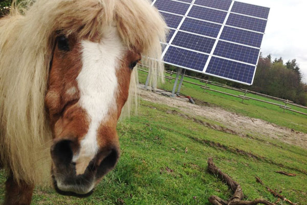 Solaranlage auf Freifläche